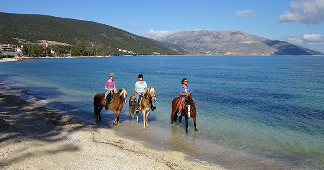 Sunrise Bay Apts Agia Efimia Kefalonia - Kefalonia Apartments - Kefalonia Suites - Kefalonia Studios - Sea View Apartments & Suites in Agia Efimia Kefalonia - Sea View Apartments Kefalonia - Sea View Studios Kefalonia - Apartments Agia Efimia Kefalonia - Studios Agia Efimia Kefalonia - Accommodation Agia Efimia Kefalonia